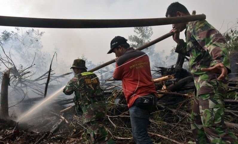 Petugas Padamkan Api di Cagar Biosfer Giam Siak Kecil Riau