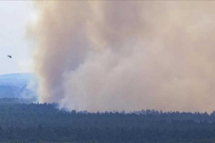 Petugas Pemadam Berjibaku Atasi Kebakaran Hutan Dahsyat di Harz, Jerman