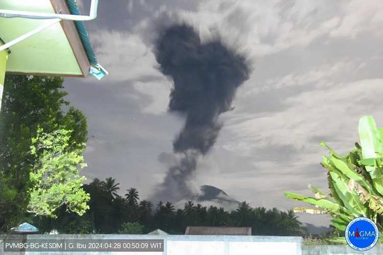Petugas Pos Pengamatan: Gunung Ibu Meletus Lontarkan Abu Vulkanik Setinggi 3,5 Kilometer