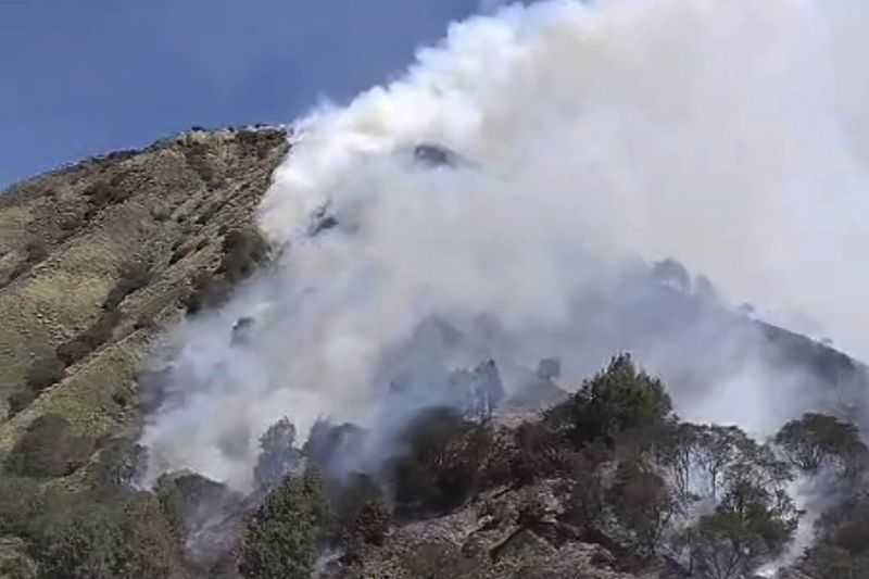 Petugas Terus Bekerja Keras, Pemadaman Api Karhutla Gunung Batok Terkendala Angin Kencang