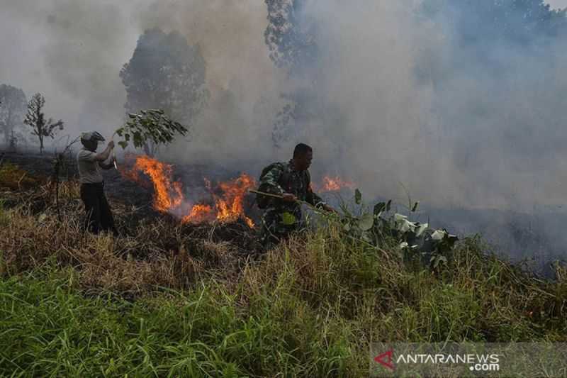 Petugas Terus Berusaha Padamkan Karhutla Pada Tiga Daerah di Riau