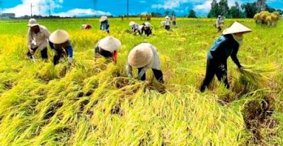 Korupsi di Sektor Pertanian Jadi Fokus KPK