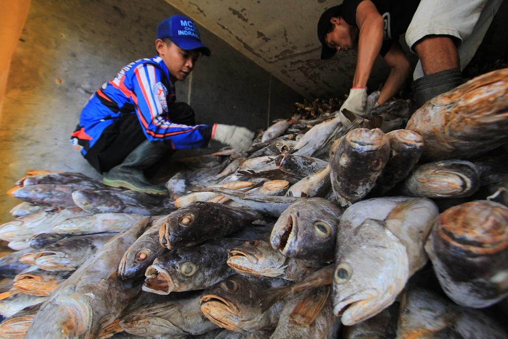 2019, Target Ekspor Ikan Naik 10%
