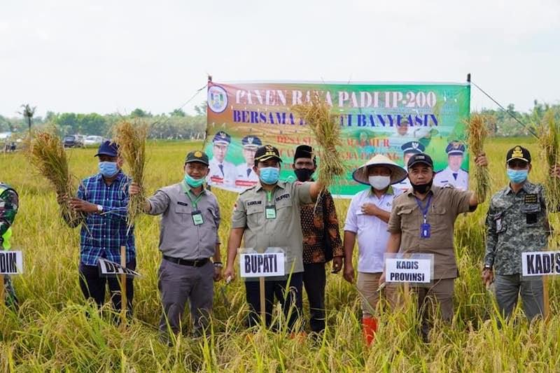 Banyuasin Optimalkan Areal Rawa jadi Persawahan