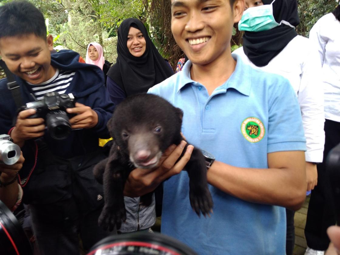 Pengunjung Bandung Zoo Berebut Amati Anak Beruang