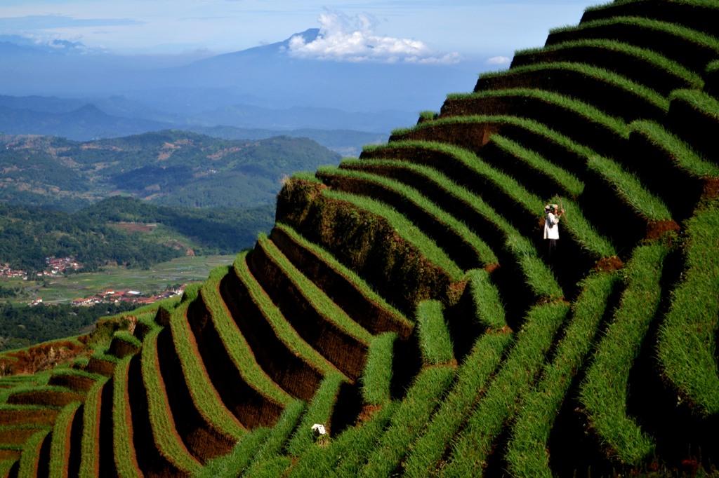 LERENG GUNUNG PERTANIAN