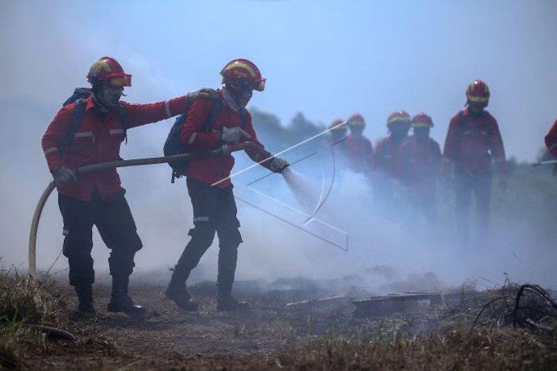 Gugatan KLHK Dikabulkan, PT RAJ Harus Ganti Rugi Rp137,6 Miliar