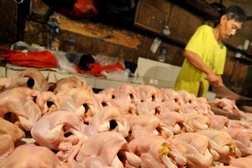 Harga Daging Ayam di Sulawesi Terpantau Stabil