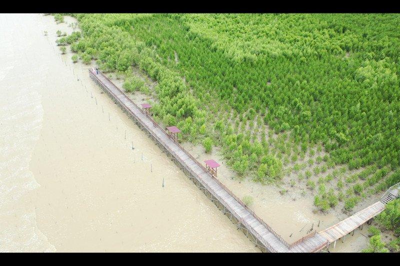 KKP Resmikan Destinasi Wisata Mangrove Berkelas di Singkawang Kalbar