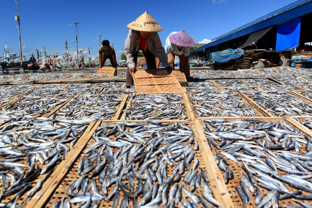 Produksi Ikan Asin