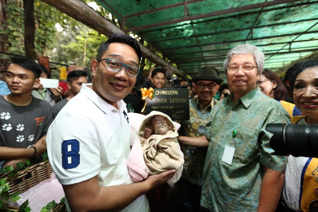 Kebun Binatang Bandung Jadi Pusat Rekreasi Edukatif