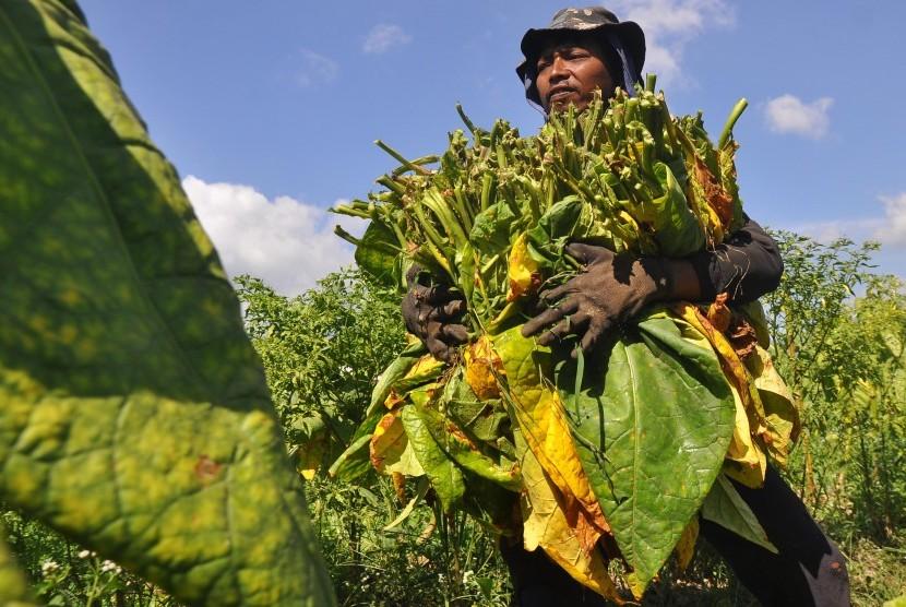 Petani Termotivasi Terapkan Sistem Legal