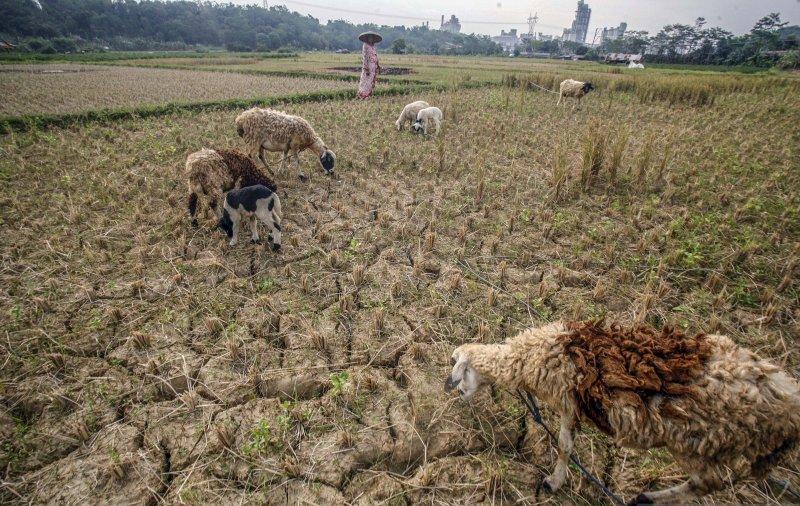 Kekeringan di Bogor Berdampak Pada 17.378 Keluarga