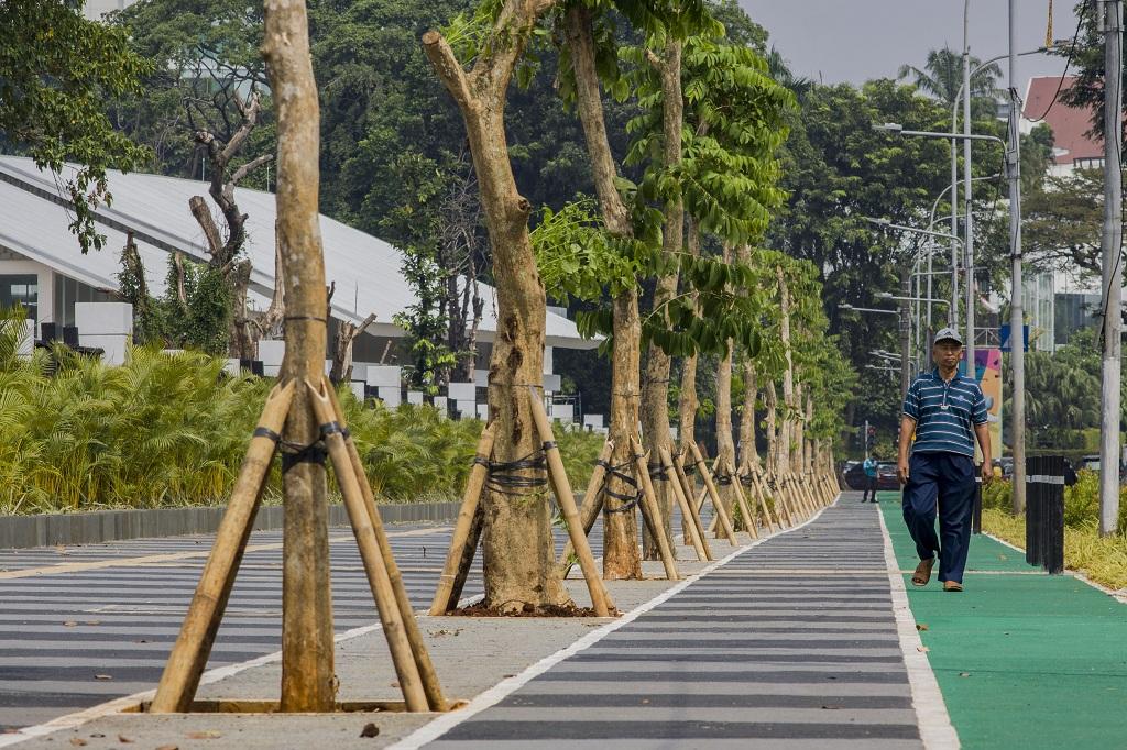 Jalur Pedestrian Senayan