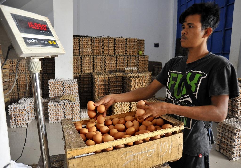 Harga Mahal, Warga Kurangi Konsumsi Telur