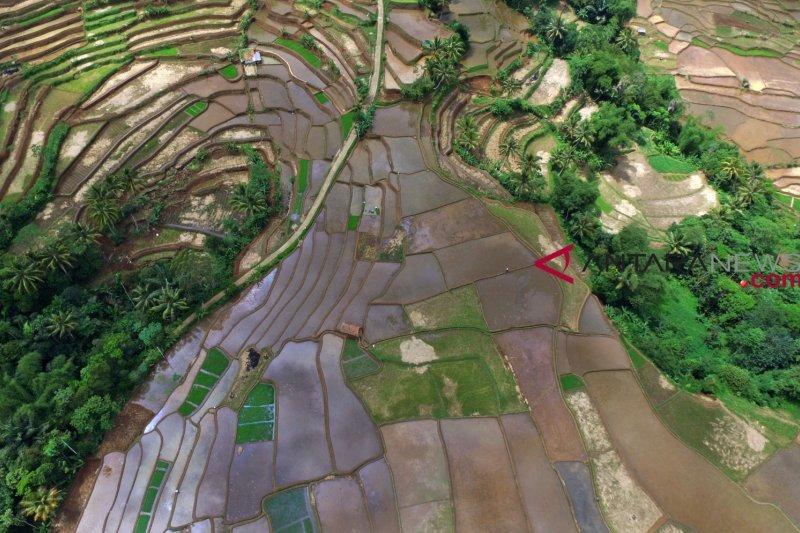 Petani Perlu Perbanyak Penggunaan Pupuk Organik