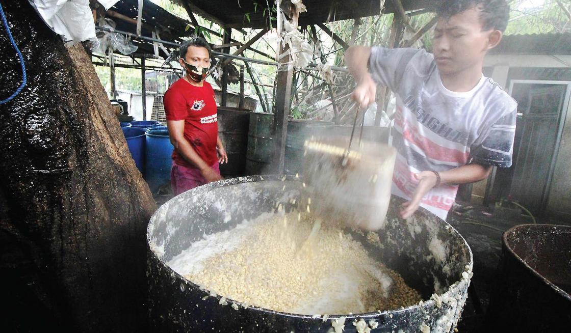 Pemerintah Diminta Menggenjot Produksi Kedelai Lokal