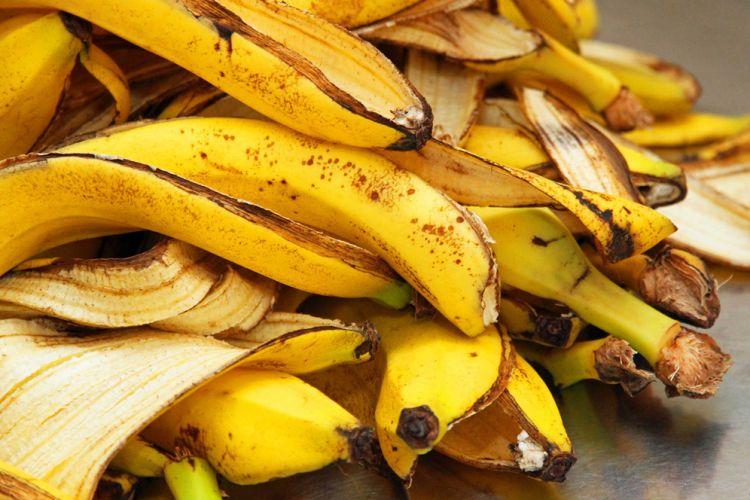 ITS Manfaatkan Kulit Pisang untuk Olah Limbah Industri