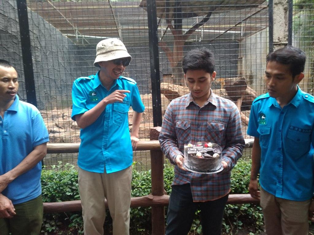 Harimau Benggala Rayakan HUT Ke-1 di Bandung Zoo