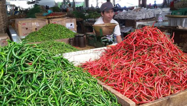 Stok Cabai Aman Jelang Idul Adha