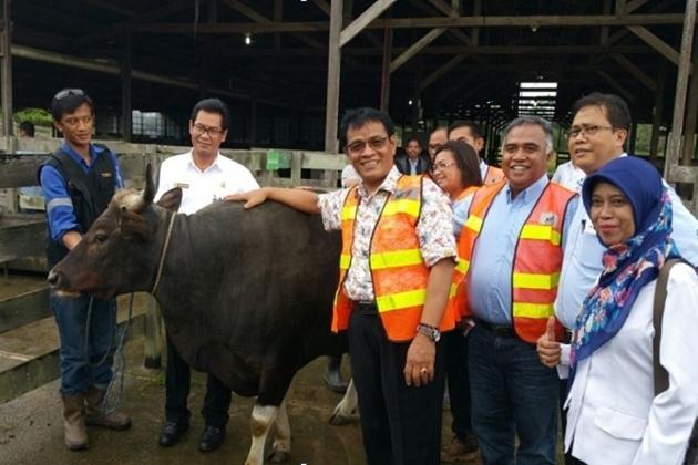 Tempat Pemotongan Hewan Kurban Berstandar Diluncurkan