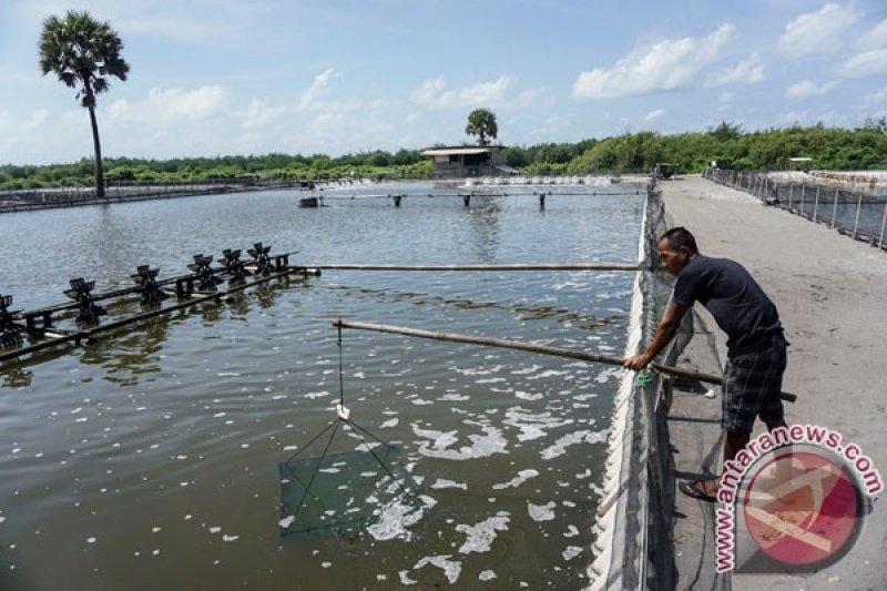 Pemerintah Siapkan Industri Kincir dan Pompa Air Dalam Negeri