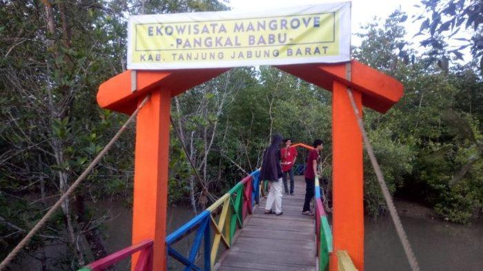 Hutan Mangrove Tanjab Barat Jadi Objek Wisata Tematik