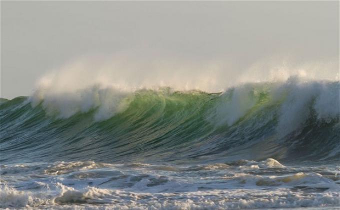 Upaya Lolos dari Terjangan Tsunami