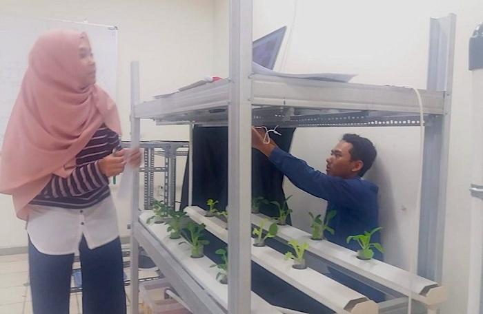 UGM Kembangkan Aplikasi 'Monitoring' Tanaman