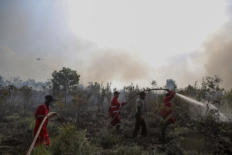 KEBAKARAN LAHAN.