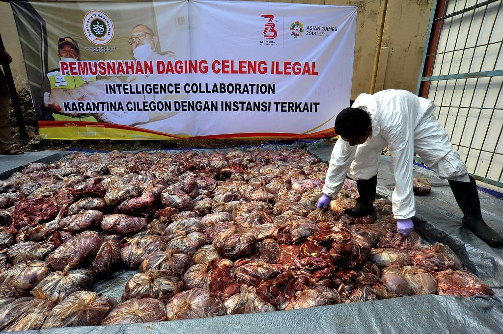 Pemusnahan Daging Celeng