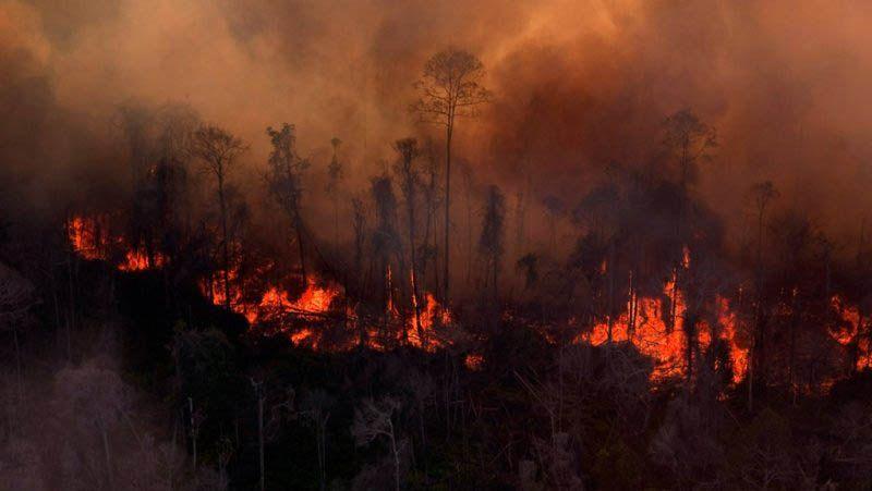 Kebakaran Hutan di Gunung Lawu Meluas
