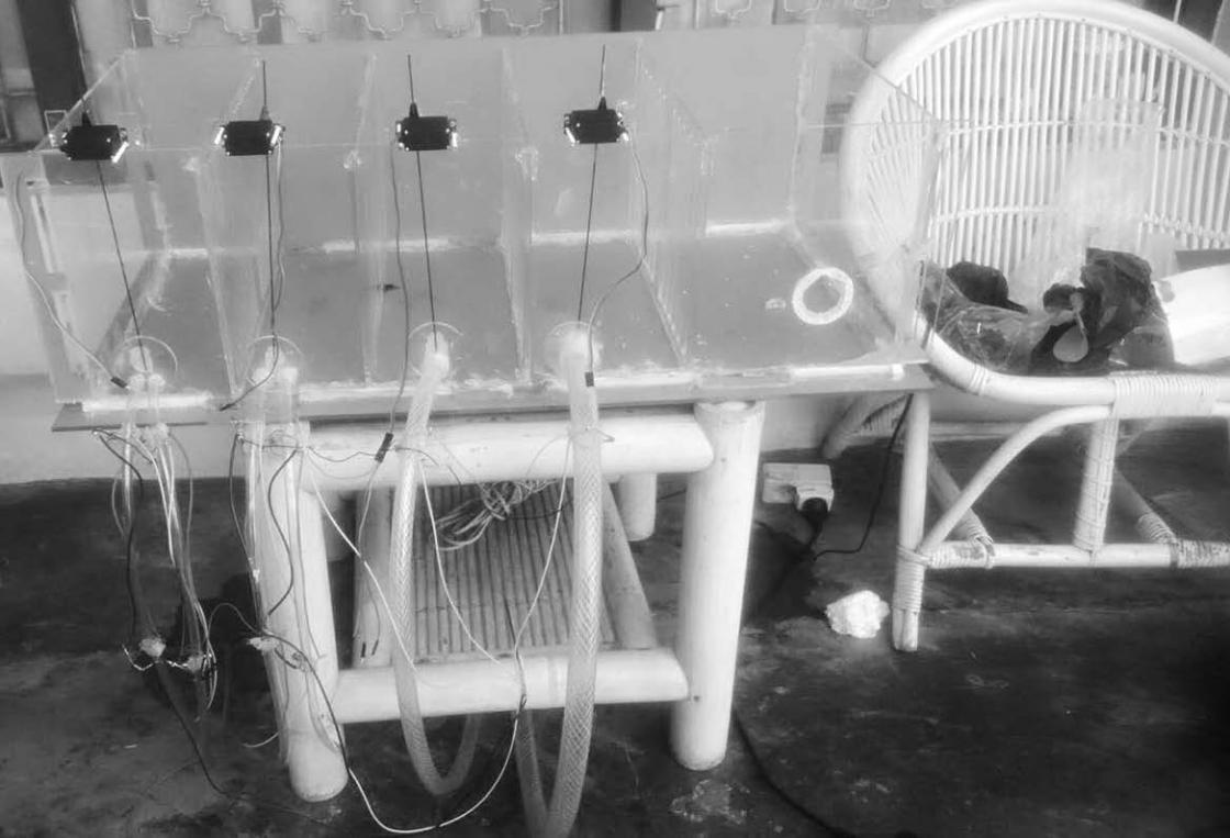 Mahasiswa UGM Kembangkan Mesin Grading Ikan Otomatis