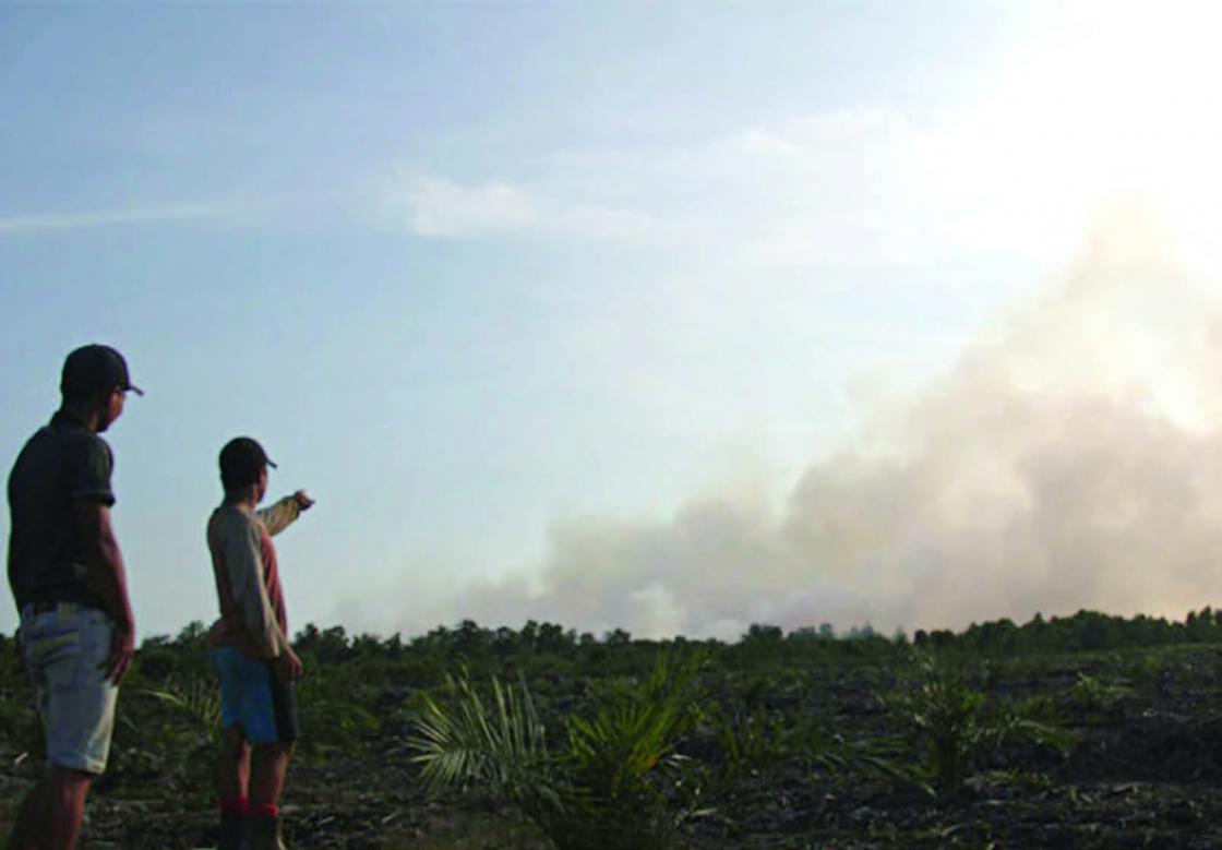 Kebakaran Hutan dan Lahan di Riau Terus Meluas