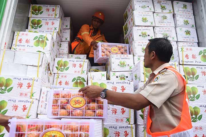 Buah Ilegal dari Tiongkok Diamankan