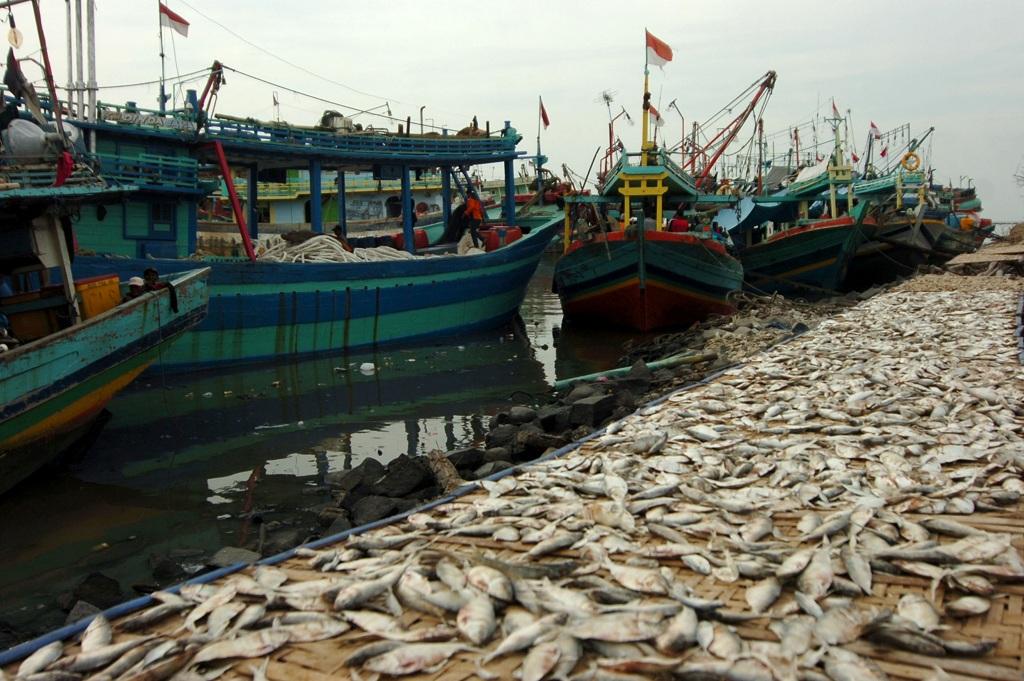 Asuransi Mikro Nelayan
