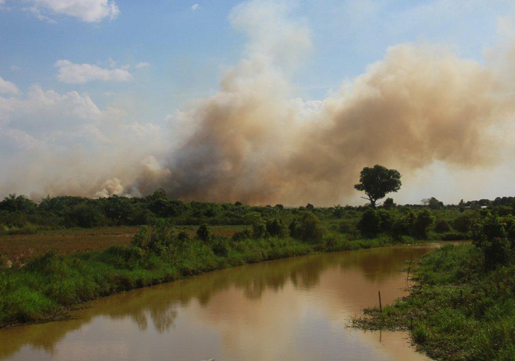 Kebakaran Hutan dan Lahan Makin Meluas di Siak