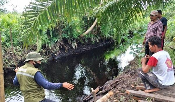 Buaya Terkam Nenek di Sampit 