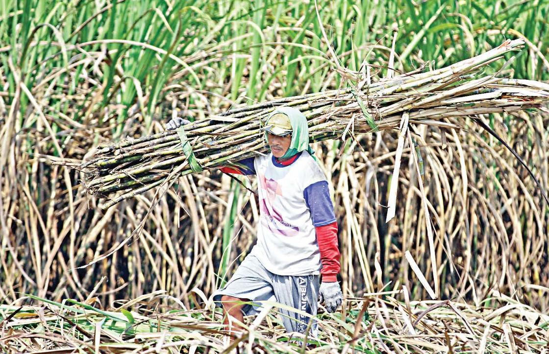 Petani Terancam Rugi Besar