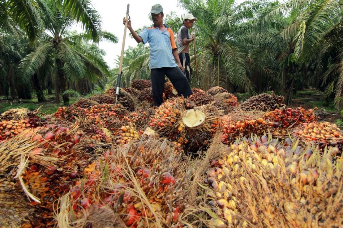 Iklim Investasi Bisa Terganggu