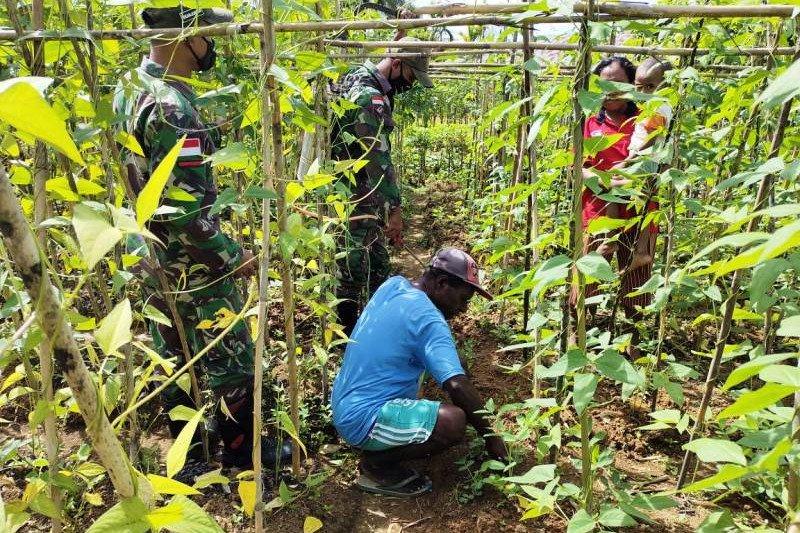 Pagi-pagi Pasukan Penjaga Perbatasan Ajak Warga ke Ladang, Ini yang Dilakukan