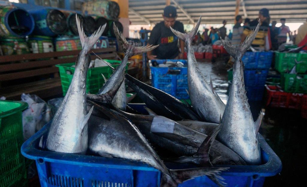 Pemanfaatan Kekayaan Laut Belum Optimal