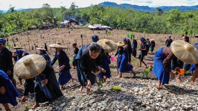 Petani Badui Mulai Garap Ladang Padi Huma