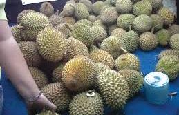 Sensasi Pesta Durian di Jakarta Fair