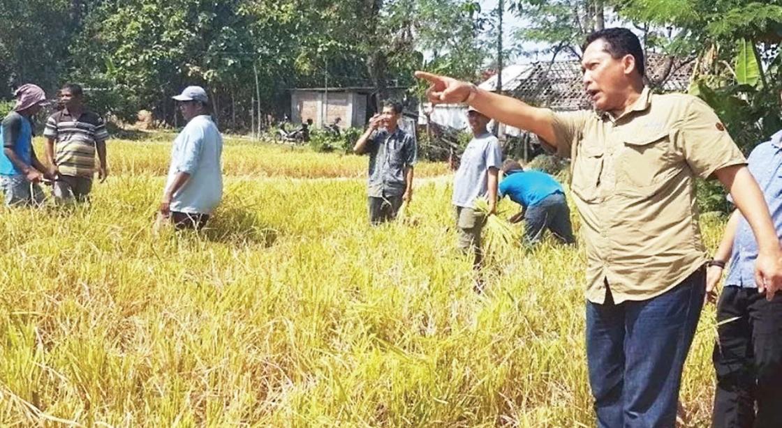 Bulog Segera Bangun Gudang Penyimpanan Beras di Kalteng