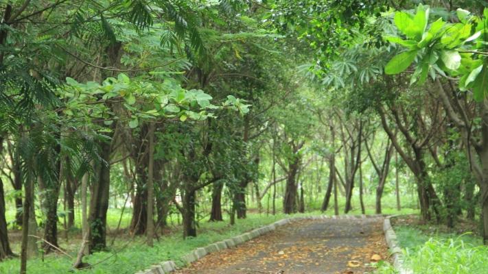 Hutan Kota Kemayoran Direvitalisasi