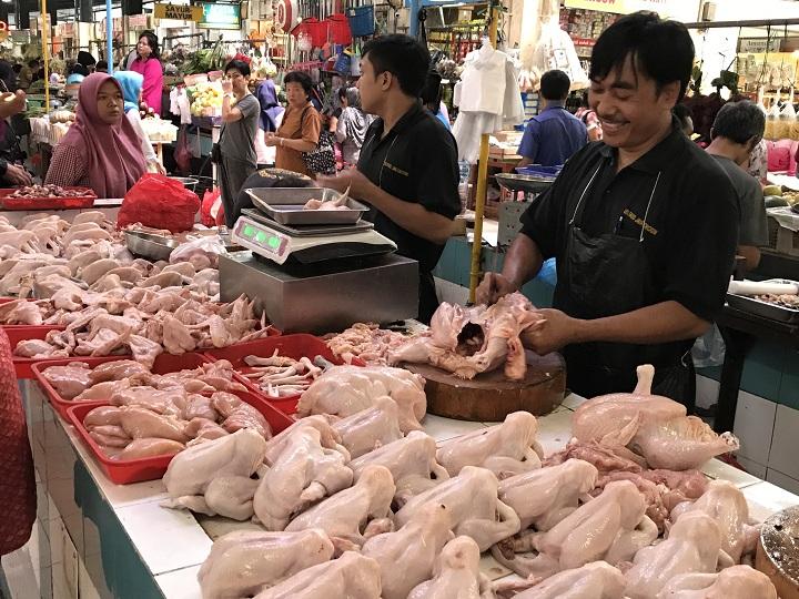 Kisah Pedagang Ayam Segar di Pasar Modern