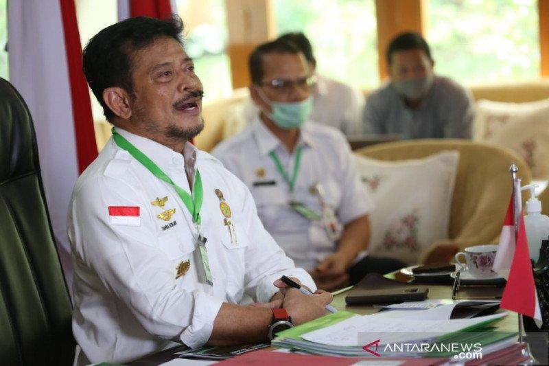 Bangun Penggilingan Moderen