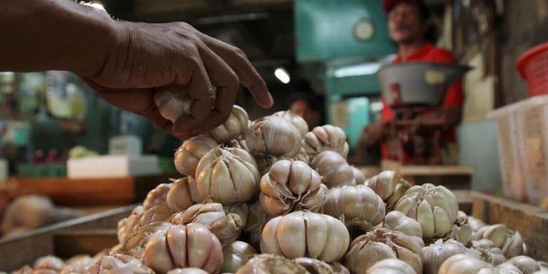 Petani Tertipu Importir Bawang Putih