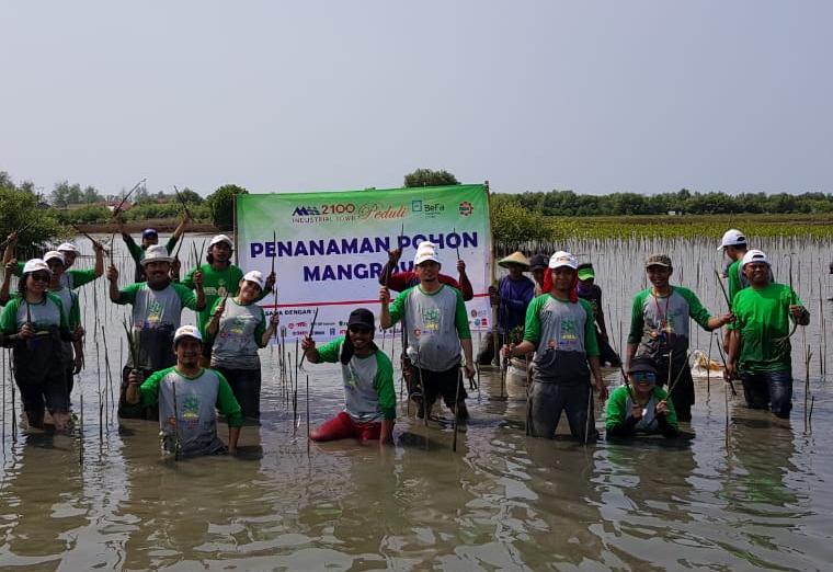 BEST Tanam 13 Ribu Pohon Mangrove